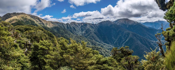 As I descended below 1,100 metres I came free of cloud and, through windows in the dense goblin forest, I enjoyed some nice vistas of the main range between Maungahuka and Aokaparangi to the north, then later of Cone Ridge, Neill and Winchcombe. Eventually the steep descent ended at a swing bridge crossing the Hector River. Immediately on the far side was Neill Forks Hut (350m). This image - A view from a peep hole in the goblin forest, west to Maungahuka (left) and north to Aokaparangi (right - in cloud)