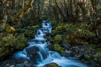 A tributary stream just north of John Tait Hut