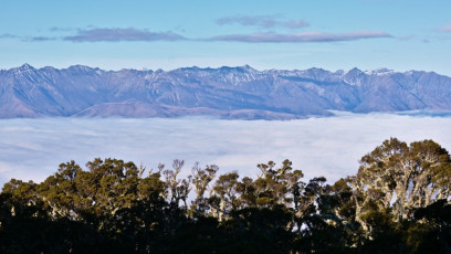 Above bushline and above the clouds, Takitimu Mountains are greeting us from across the valley.