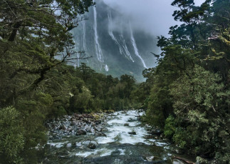 Aside from the drive up access to Homer Hut, another plus about being based at Homer Hut is that Milford Sound is just down the road. And if it’s wet, there’s no better time to see this natural wonderland. If you can’t climb, go site seeing. What had been sheer, ice plastered walls became fluid, silver faces, with huge volumes of water pouring down from the tops. On Tuesday the clag remained, so I took a short drive back down Highway 94 in the direction of Te Anau, parked the car and sloshed my way up into Cirque Creek for looksee.