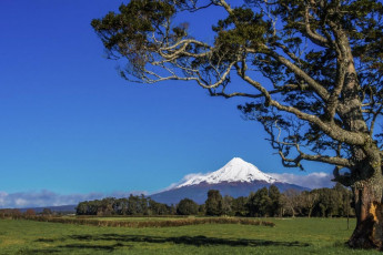 That evening type two joy kicked in as the boys tucked in to large steaks at the Black Harp in New Plymouth. We hadn’t summited, but we’d had a learning-rich day on a mountain in winter. I had to keep repeating this to myself as we drove south past the mountain next morning in perfect bluebird conditions. Tuesday would’ve been a cruisy summit day – too cruisy I reassured myself.