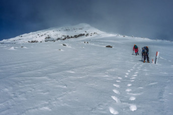 It wasn’t long before blue sky became white. We made steady progress free climbing and I was happy to let my teenagers do their share of step plugging. At about 2,200 metres, the gradient increased and the surface became less snow and more ice. Time to rope up and for Dad to lead.
