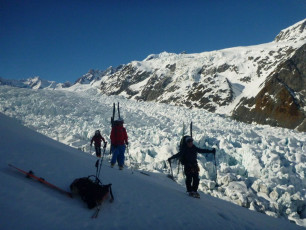 A final glimpse back at the lower Fox icefall, before moving into the world of Tussock and Kea's