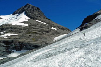 Above that is the bare ice of the glacier leading to Wright Col (2,264m).