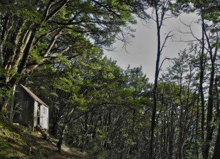 Just below the tree line at around 1,000 metres, we poked our noses into the rustic old Earnslaw Hut.