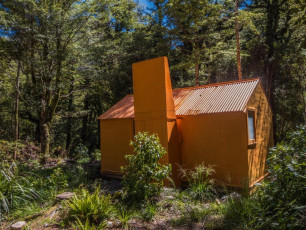 After a brew in the shade of Arete Forks Hut it was time to face the music. Into the bush and straight up. For the next four hours I descended to, then ascended from streams that have cut deep gullies into the valley wall. Six streams, six ups, six downs, adding at least 500 metres of ascent and descent. And not easy going – very steep, loose rubble, root infested and sometimes obstructed by big, shattered, storm-felled trees. Keeping on route demanded constant concentration and delays. If it had been wet I would have muttered even more four letter words than I did. ‘Worst trail in the Tararuas’? Though not having trodden all of them, I can believe it!