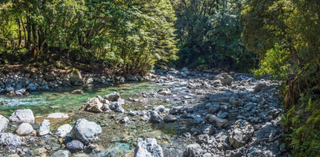 More than 800 metres below Lancaster, down at Waingawa River, wading across bare-footed to reach Arete Forks Hut soothed things down a bit after nearly four hours of toil. Now my concern was the ‘worst trail’. How tough is ‘worst’? How much storm damage?