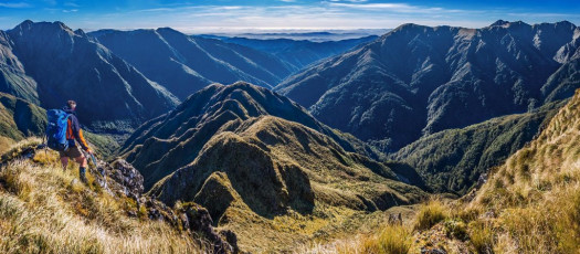 The view on the approach looked near vertical in a few places. As it turned out, the steepest section is coming directly off Pinnacle itself. The rest is not as challenging as the steep sections north of Bannister, although below the bushline, it is relentlessly, toenail destroyingly steep.