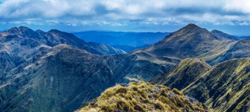 Bannister summit (1,537m) view south west to Lancaster (1,504 - left), Arete Bivy (1,360m - right of centre), the Twins (1,466m and 1,440m - right foreground) and Arete (1,505m - right skyline).
There was also another aspect I’d under estimated – the time needed to cover my route. To access the tops I first had to climb from Kiriwhakapapa campsite at the road end, up over the Blue Range. This requires about 800 metres of up and then 600 metres of down to Cow Creek Hut – a bit under four hours walking on the way in and an hour more on the way out due to the rigors my legs endured in between. From Cow Creek the going gets tougher as the real climb begins, first to Cow Saddle, then up a steep ridge on to the tops and Waingawa Peak (1,423m). A heap of storm damage between about 700 and 850 metres made this section extra hard going. There is a shortcut to Cow Saddle at the western end of the Blue Range track that avoids some of the descent all the way to Cow Creek Hut but, after following it for a bit, it dissolved into a labyrinth of goblin forest on a broad ridge, so I opted for the security of the orange triangles back on the main trail.
For me, the most challenging scrambling was south of Waingawa on the approach to Bannister. But there are plenty of other sections along this route that demand care and concentration. And there are many, many ups and downs. In the course of my two days I was on the move for 25 hours and ascended and descended at least 3,500 metres. By comparison, my climb of Aoraki Mount Cook a few years ago, from Plateau Hut via the Linda Glacier, took 14 hours and 1,700 metres of ascent/descent – so height above sea level is definitely not the only way to define a big day out. There are plenty of them lurking in the Tararuas.