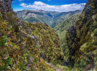 It’s all too easy to under estimate the Tararuas. Sadly, most years people pay the ultimate price for doing this. While they don’t break 1,600 metres anywhere along their length, the Tararuas are a complex network of exposed ridges and deep rugged river valleys. Between the tops and the rivers, often on very steep hillsides, is dense forest, slippery gravel, roots and mud. It rains and blows - a lot. It’s not civilised, even when sticking like glue, as I do, to DoCs little orange triangles. And, once free of the bush, along the tops it can be surprisingly craggy, steep and narrow, as I discovered north of Bannister’s low peak. Here, on a small near vertical section only a few metres high, as I climbed, groping for fewer hand and footholds than my comfort zone required, I realised that the exposure and lack of a companion meant that I didn’t want to climb back down this way.