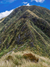 Since August I’d been watching for a two day weather window, which finally came just pre Christmas. Now I enjoyed excellent conditions all to myself on the tops, while also discovering just how big, as an overnighter at least, my objective was. If I’d pushed on in August, alone as I was, it would have certainly been too much. This time, to avoid the ‘worst trail’ – a section shown on the map skirting around a valley wall at about 800 metres between Cow Creek Hut and Arete Forks Hut, I’d planned to access the tops via Cow Saddle (670m), go all the way around to Lancaster (1,504), which would give me all fifteen high points, after having passed over Bannister’s low (1,513m) and high (1,537m) peaks and Arete (1,505m) on the way. Then I could just retrace my steps. No worries. Wrong!