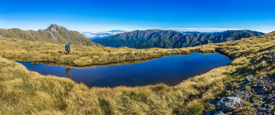 Soon Joe was back with us and we set off south westerly at first, over Taumataemekura (1,682m). Joe obligingly went back and forth while reflected, mirror-like in various tarns. Due to the high rainfall this summer season we came upon scores of tarns along the route.