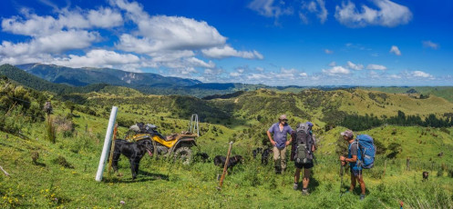 In February I was asked to join two back country veterans, Shaun Barnett and Joe Nawalaniec, on a four day trip into the hills. While the weather had been all over the place, with unusually high rainfall across much of the country, we could see a fine spell looming over the Ruahines, so this is where we headed. Shaun plotted a circuit joining many of the high points in the Ruahines in one 37km loop.
Our route started at the Mangakukeke Road end, which is surrounded by private farmland. Beforehand I called ahead to secure our permission to pass across Richard Gorringe’s farm on our way in and Colin Thompson’s on our way out. Not far above Richard’s farm is Purity Hut, beyond which we’d spend most of our time above 1,500 metres on an expansive round trip from the west to the east and back again. For me, along with the opportunity to finally get to know the Ruahines better, the beauty of our route lay in being on the tops for all but a couple of hours on the first and last days, and being able to camp out under the stars for three consecutive nights.
We set off across Richard’s farm about 11am and soon met the man himself, plus an impressive team of dogs, up on the ridge leading to the forest park, at about 800m. Richard has a bit of a reputation for being pretty blunt about access permissions. He’s suffered real setbacks, like loss of stock due to trampers passing through over the years. Understandably this has hardened his approach. But both times I’ve needed to pass over his farm he’s been helpful and very happy to have a yarn, which we did this time, while wiping sweat from our brows. It was sunny and humid and the access ridge is steep.