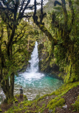 After lunch we bid farewell to Upper Travers Hut and headed down to John Tait Hut. En route we checked out Travers Falls, which was a nice surprise. Just a little down off the trail in a lovely, extensive goblin grotto of ferns and moss, it was definitely worth a visit. At John Tait Hut Labour weekend caught up with us in the form of a noisy, crowded Hut. But this only accentuated our fond memories of Upper Travers Hut.