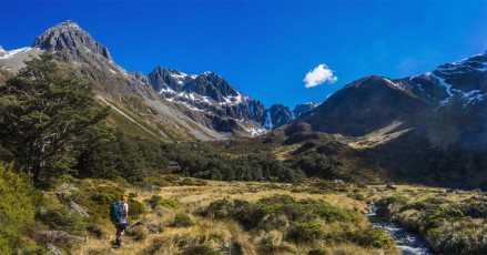 After a pause for lunch at John Tait Hut, roughly the halfway point, we soldiered on. By the time everyone had arrived at Upper Travers Hut it was nearly time for dinner. Situated amongst trees just below the treeline and commanding an expansive view back down valley, with the eastern flanks of Travers soaring above, the generously proportioned hut is a beautiful place to stay. This image - Approaching Upper Travers Hut.