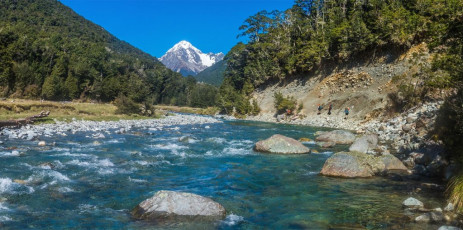 I was a little nervous. I’d had keyhole surgery on my left knee exactly five weeks earlier, so I wasn’t sure how well it would tolerate sustained weight and effort. As I write, three weeks on from our return, I now know that the timing of our trip wasn’t exactly ideal for my recovery, but Voltaren kept pain and inflammation at bay very effectively during our four day journey.  
We sweated our way up beside the Travers River under a cobalt sky. It was hot, so the cover of gladey beech forest for much of the way was a blessing. We got our first good look at the top four hundred or so metres of Mount Travers before John Tait Hut, at a bend in the river where a slip had taken out a section of the trail. It looked muscular – a classic looking summit. This image - The Travers River and the north side of Mt Travers.