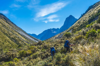 Going by the map, reaching Cloudy Peak looks like just a short scramble up Cloudy Stream, gaining about 600 metres. But maps can be deceiving. In reality, access to the stream bed is via a shelf on the true left of the stream. This takes you up through tussock to about 900 metres, at which point you could be forgiven for thinking that another hour or so of easy hiking will see you at the bivvy. 
Wrong – surprise number one. It’s at this point, as you swing round into the valley that the going becomes more unruly. For the next three hours we shoved and stumbled through thick scrub and Manuka and across boulder fields, all the while trying to stick to some trace of a route, which is scanty to say the least. This image - in the scrub, Cloudy Peak is right