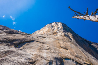 Of course, there’s more to Yosemite than spectacular views. For the serious rock climber, Yosemite is a mecca. Just scrambling up through forest to the base of El Capitan on the afternoon of our second day was enough for me. As you pop out of the trees you’re confronted with a near vertical wall of granite, soaring straight up for 1,200 metres. Feeling the quality of the rock, I could see why climbers love to get on these mammoth walls, but the level of skill required is way beyond me. From where I stood gorking skyward, a twin rope led vertically up to two climbers fifty or so metres above. Just how they got there I had no idea – the wall was so sheer and featureless. This image - A view up from the base of El Capitan