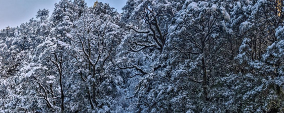 Later, back in Wellington, I received an email from Graeme. He explained how he had not been able to reach 1,500m before avalanches started letting loose around him. On his retreat he then fell into a three metre hole, in hidden frozen avo debris, becoming mildly hypothermic as he struggled to extract a snowshoe-clad and tightly wedged foot. Lesson number four – if it’s clearly iffy, best not to push it. The mountains aren’t going anywhere.
