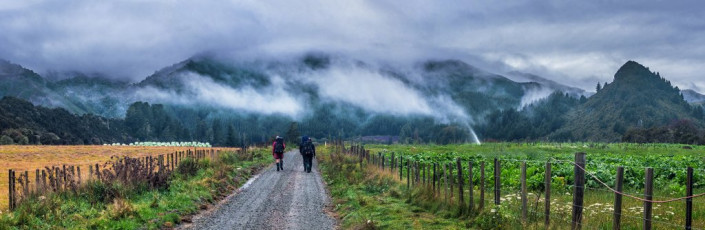 Wet and weary, we found ourselves on the true left bank of Ellis River about mid-afternoon. Shaun had our taxi van pickup all set, except that we were now a day early and hadn’t been able to get a cell phone signal anywhere to bring our pickup forward. Nothing for it but to start walking the gravel of Baton Valley Road until we got a signal. Ah well, at least the drizzle had stopped. As it was, after a few kms of trudging a Ute appeared from the opposite direction. We flagged over the driver, a local farmer, to ask if he knew how far it was to a signal. “Not till the far end of the valley, fifteen or so kms away. But how about I drop this ram off (sitting in a cage on his Ute deck) and come back and drop you down there?” he explained “Hell yes!” was our reply. Definition of good sort!
Less than three hours later we were showered, changed into clean dry clothes and supping our first beers at a Nelson pub as the rain continued outside. With the benefit of hindsight we agreed that our trip evolutions had all been good calls. Whilst Shaun’s step meter confirmed we’d taken about 180,000 steps and my altimeter indicated a cumulative height gain of 4,600 metres and descent of 4,200 metres, we still hadn’t met all our objectives. But so what - the journey had been fantastic.