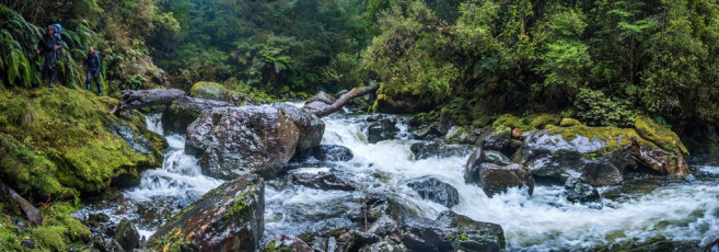 On the morning of day seven a pair of rowdy weka woke us unceremoniously. Just as well though, because the extent to which Baton River had swollen, even beside the hut, left us in no doubt that time was of the essence. With all thoughts of a final stint on the tops a distant memory, we started our wet and slippery descent, which required half a dozen crossings of Baton River. It was fortunate we had four in our party, because our last couple of crossings required all four to bind together to safely ford the waist deep torrent. It was the most extensive swollen river experience I’ve had and I was mightily impressed at how stable a four, or even two man fording team actually is. This image - Approaching another river crossing on the lower section of Baton River.