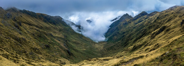 Up at about 1,000 metres we paused for lunch and antihistamines, before tackling a final steep 350 metre section leading to Baton Saddle at 1,340m. Up there clouds obscured much of the view – enough to shut down any thoughts of proceeding along the tops. Looking down the south side of the Saddle didn’t fill us with joy though either – steep slippery tussock clods and a legion of spikey Spaniards. Slowly we picked our way down to a sodden wetland basin that eventually gave way again to forest. Soon we reached Flanagan’s Hut (940m) – a little under eight hours after leaving Karamea Bend Hut, but a fairly intense eight hours nevertheless. This image - The view south from Baton Saddle (1,370m), a sea of Spaniards and deep tussock.