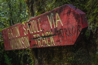 At the trail junction with the Leslie Karamea Track, carved into the old sign stating “Baton Saddle via Wilkinson Track” was “Horror”. Some other knowing soul had also penned “Total”. At the time we chuckled but it wasn’t long before, pouring with sweat, we were struggling up steep, slippery mud and boulders. To up the ante stinging nettles made an appearance and steadily proliferated. But wait, there’s more … wasps, nests of angry wasps.