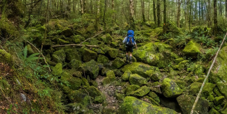 From Trevor Carter we meandered on to Thor Hut (450m), then further on to Venus Hut (390m). This was an easy six hour day and, below Venus Hut, is a lovely swimming hole where we washed away several days of grime and cooled off in the warmer river valley climate. This image - A moss-covered boulder field south of Thor Hut.