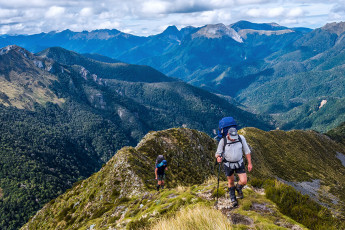 As we made our way up towards the treeline, competing with the birdsong, a more sinister low hum became apparent - wasps. Sadly they were ever present in the Park and we would get to know them more personally in due course. Above the treeline we joined a narrow rocky ridge leading steeply up to a 1,400m point overlooking picturesque Luna Lake, some 200 metres lower down. From there we sidled around the east side of a 1,578m peak to reach the saddle beneath Mount Luna, also at 1,400m. This image - Ascending the steep section to 1,500m. The Arthur Range spans the skyline, with Mt Baldy centre.