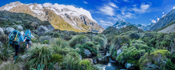 Our first surprise, after having battled up a little-used smear of a trail for an hour or so, was an Asian tourist looking down on us from a small ridge above us. “You going Ball Pass?” he asked. “How the hell did he get there?” we thought. Then we spotted a sign indicating Ball Pass right, Hooker Lake straight ahead. The trail had been expanded and we hadn’t caught up with that fact. Ah well, I got some lovely shots along the old route that I wouldn’t have if we’d known. This image - In scrubby terrain on the true left of the Hooker River, at about 850m.