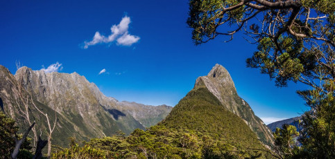 The first five hundred or so metres is probably the toughest – relentless up, root ladder after root ladder, pack snags, constant risk of going off route. We did find later that coming down it was easier to follow the trail, but we still lost it for a while about 200 metres above the sea. At 541m we reached the first ridgetop. After that the going was a little easier up to the Footstool at 832m, where we got our first decent view of the upper section of Mitre Peak. And yes, it looked steep. This image - Our first good view of the upper section of Mitre Peak from the Footstool (835m).