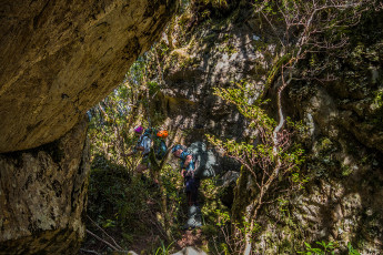 Anyone who’s been in Fiordland bush knows how dense it is. We had a steer from our water taxi skipper, Dion, as to where the trail actually began a little to the true left of Sinball Gully stream. Just as well because, at our drop off point, we were confronted with a wall of forest. If Trump wants to build an impenetrable wall around the US of A he should check out Fiordland – not only would he keep out uninvited aliens but also gain carbon credits.