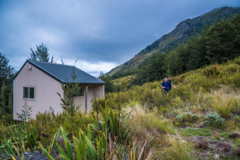 Soon we came upon Acland Shelter. Then the trail dips through beech forest to around 800 metres, before steadily ascending again to 1,100 metres