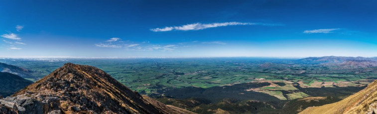 When out of the beech forest we enjoyed expansive views of the Canterbury Plains