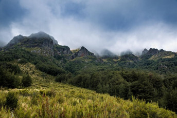 At the branch in the track, we continued on around the south face track, skirting beneath steep craggy pinnacles that ring the southern and eastern edges of what is actually a large flat summit area above