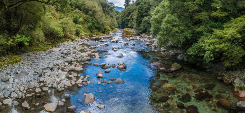 I would have liked to spend some time at Neill Forks Hut. Where Hector River is joined by Neill Creek is some lovely scenery. This image - Looking northeast from the swing bridge beside Neill Forks Hut, down Hector River