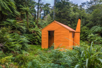 Mid Waiohine Hut (380m)