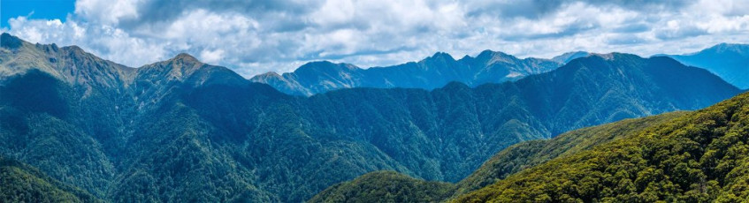 From Bull Mound (1,080m) the trail dropped directly down to Tauherenikau River (300m). I was expecting a wade across, but a large tree had fallen right across the flow, providing a dry crossing option. Once on the east bank, I drank my fill from the river, before preparing for a final 350m climb beyond Cone Hut, which I was glad to have behind me. At 5pm back at my car, it felt good to get the boots off. Seven toe nails were blackening in true Tararua fashion.  This image - A view from near Bull Mound of Neill Ridge, with the main Tararua range behind. Winchcombe Peak (1,261m) is left and Neill (1,158m) right