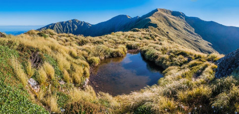 Then, for the next three hours I trod familiar ground around to Alpha Hut. That clear morning I’ve never been on this section in better conditions – perfect for photography and no-one else to be seen. This image - A small tarn to the south of Atkinson, looking back towards Atkinson. Mount Hector is centre and Field Peak left