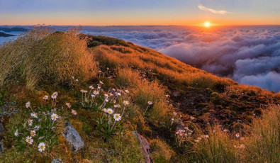 For the next two and a half hours I captured the unfolding sunrise in pixels, while also getting ready to move on. The landscape was spectacular, the light luxuriant and the immediate foreground coated in white alpine flowers. I felt rewarded many times over for the hard slog of the day before.