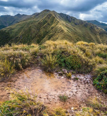 I took five eastward steps and a mud puddle emerged from behind tussock. ‘Yesss. Looks a bit manky, but a far better option than dehydration.’ I managed to get more than a litre of reasonably clear water before setting off once more. ‘Whew’.
