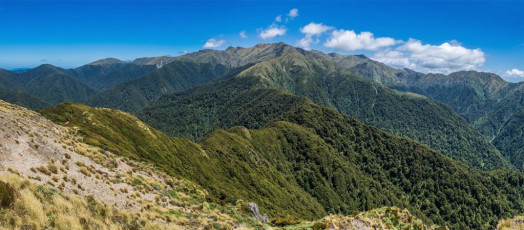 When I reached Neill two hours later I had a break and then had my water disaster. After releasing many expletives and sorting out my pack, which thankfully had everything in a dry bag, I shouldered my pack with grudging acceptance that it was going to be a very thirsty time until I reached Mount Hector. At least Kime Hut was a guaranteed water source from there. This image - The view from Neill (1,158) along the ridge angling right to the base of Winchcombe Peak where the treeline ends. This section involves a lot more up and down than it appears