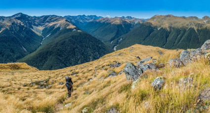 After flying to Christchurch from Wellington, we picked up a rental car and drove up SH7 to a car park at 863m. From near the car park the Lewis Tops Track climbs rapidly up to nearly 1,600m – quick access to the tops, always good in my view. This image - At about 1,200m on the Lewis Tops Track, looking north to Mt Freyberg (1,817m - far left) and range, Cannibal Gorge centre and the Spenser Mountains, right