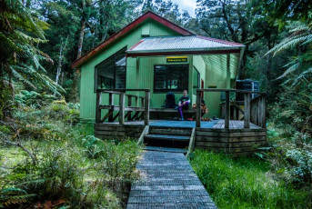 We trudged into the Hut just as it was getting dark and drizzle was setting in. No cold Kiwi Larger this time. I’d considered bringing one with me from Maungahuka but knee concerns deterred me. Voltaren would have to do. This image - Waitewaewae Hut (290m)