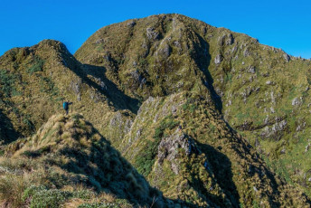 It was in the 1930s that intrepid trampers first pushed a route through the Tararua Peaks. Using climbing ropes for protection, they took several attempts to crack it. Later, the Tararua Tramping Club installed a wire cable, which I imagine would have been a fairly focusing ascent or descent tool, especially in wet conditions. The cable was later upgraded by the Forest Service to a chain ladder. Pictures reveal a wobbly affair that, at least, would be preferable to a single cable. DOC fixed the current aluminium ladder in the early 2000s. About 25m high, with over 70 rungs, it’s an impressive and very effective way to get up or down the crux section. This image - Climbing Tuiti (1,325m)