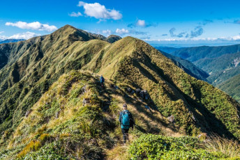 The trail from Otaki Folks (80m) all the way up, pretty much, to Bridge Peak (1,421m) is in very good condition these days and is almost all up, allowing quick progress. As we climbed out of the bush on to Table Top, I was heartened to see that the heavy cloud draped over the main range to our left had started to break up. By 12.30 p.m. we’d finished lunch at Bridge Peak and set off eastwards down towards Boyd Wilson Knob, at 1,138m, the first of four named high points that steadily climb again to the Tararua Peaks at 1,325m. I didn’t count how many un-named points there are, but certainly several more. This image - On Vosseler (1,198m), with Yeates (1,205m) right