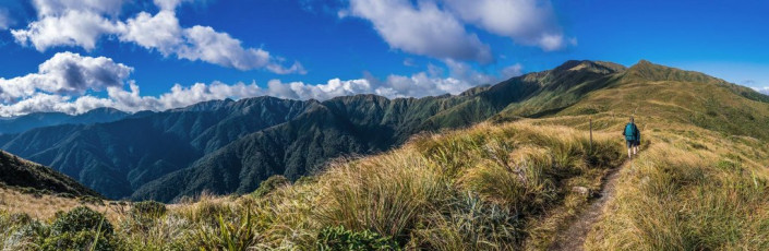 According to my flash new Garmin watch, this circuit is 54.73 horizontal kms and, more tellingly, 4,013 vertical metres of ascent and descent. Having now done it in two very long days and then, five years later, in two and half slightly more leisurely days, the latter is definitely recommended. Aside from avoiding exhaustion, more time permits space to soak up and photograph the fabulous scenery. This image - Climbing above Table Top towards Bridge Peak (1,421m), with the main Tararua Range stretching left