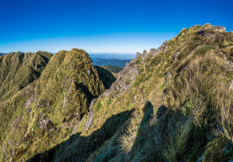 There are plenty of striking places in the Tararuas, but the ladder at the steepest section of the Tararua Peaks, just west of Maungahuka Hut, stands out to me. I’d seen photos of it – even a guy lugging his dog up it in his backpack. On my first visit I had a two-day space over Easter, so thought it was time I went and had a look myself. At the time, the photographer in me knew I’d have to come back in better weather. And with a bit more time. The circuit from Otaki Folks, up past Field Hut to Bridge Peak, then along the main range past Maungahuka Hut, Anderson Memorial Hut and over Junction Knob, then plunging down to Otaki River and Waitewaewae Hut, before returning to Otaki Folks is physical – even for testosterone-pumped, energetic teenagers. This image - on Tuiti, with the notch giving access to the top of the ladder