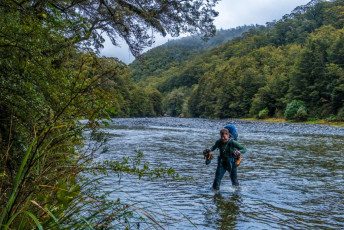 Our trip had started at 3am in Christchurch the day before. It took us about 6 hours to drive to Fantail Falls carpark just on the west side of Haast Pass. Any bleariness was chilled away by a barefoot wade across Haast River. Then in wet, misty conditions, we lugged our 23kg packs up the 900m bush-slog to Brewster Hut and the snow line.