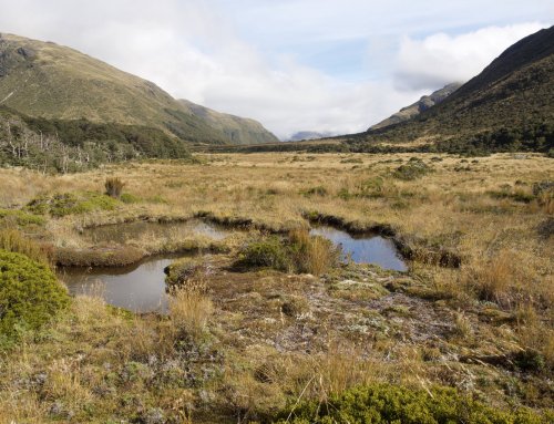 Glaisnock Wilderness Area